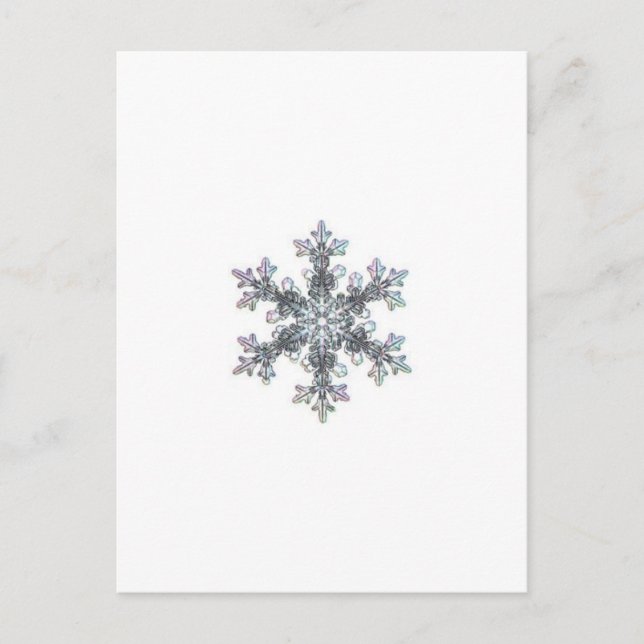 Snö flake vykort (Framsida)