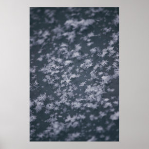Snö flingor poster