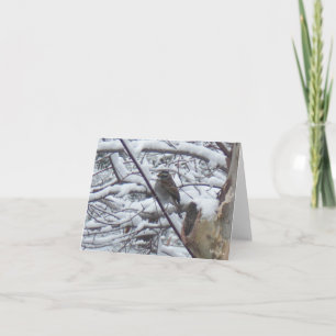 Snö-födelsekort Kort