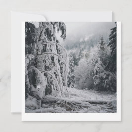 Snö Forest Sticker Inbjudningar