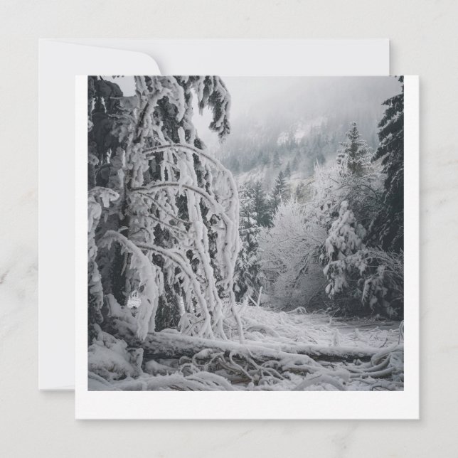 Snö Forest Sticker Inbjudningar (Framsida)