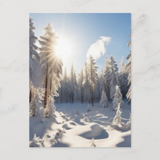 Snö Forest Vykort (Framsida)