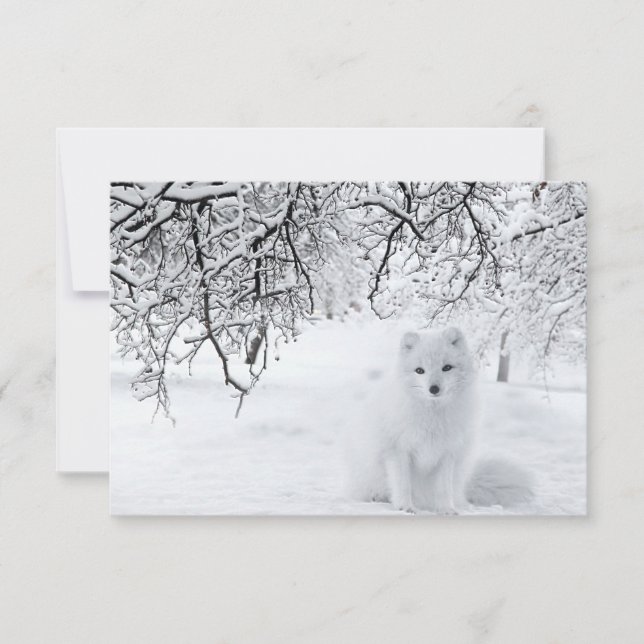 Snö Fox i Winter Skogen Tack Kort (Framsida)
