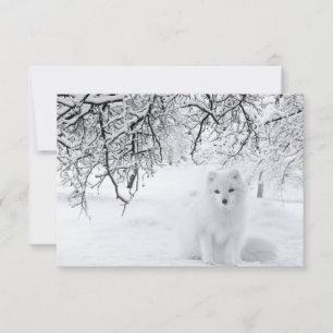 Snö Fox i Winter Skogen Tack Kort