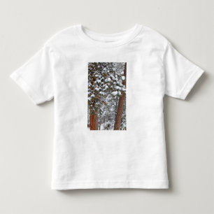 Snö fyller grenarna på ponderosa tallar tee shirt
