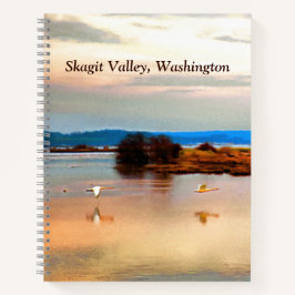 Snö Geese i Skagit Valley