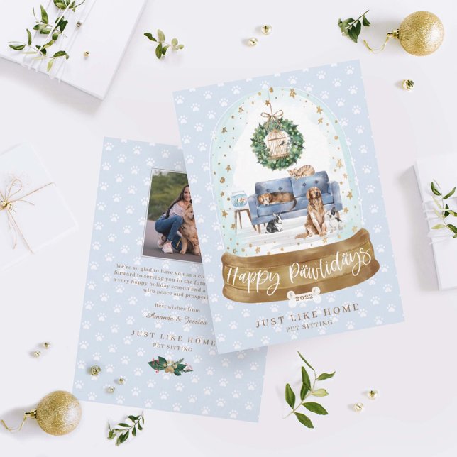 Snö Globe Blue Couch Home Pet Sitta Business Julkort (Skapare uppladdad)