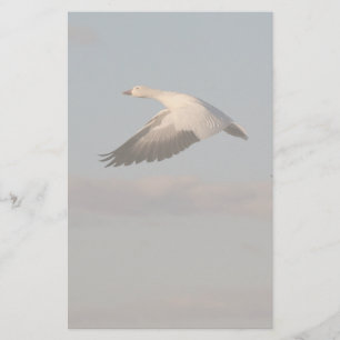 Snö Goose Flies Stationery Brevpapper