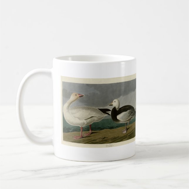 Snö Goose från Audubon's Birds of America Kaffemugg (Vänster)
