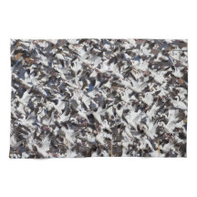 Snö Goose-sprängning av