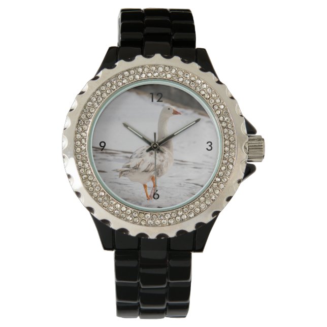 Snö Goose Strut Armbandsur (Framsida)