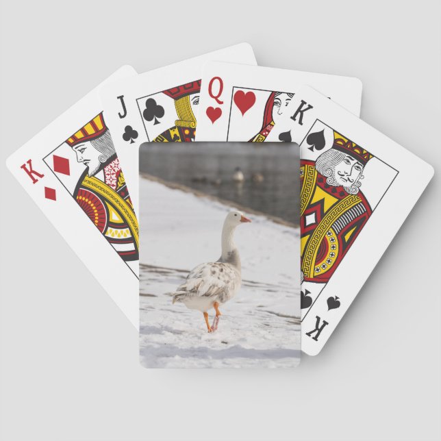 Snö Goose Strut Casinokort (Baksidan)
