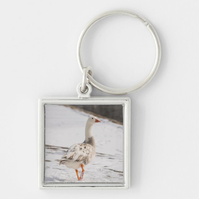 Snö Goose Strut Fyrkantig Silverfärgad Nyckelring (Framsidan)