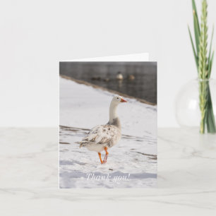 Snö Goose Strut Tack Kort