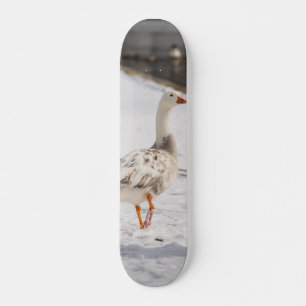 Snö gosstrut mini skateboard bräda 18,5 cm