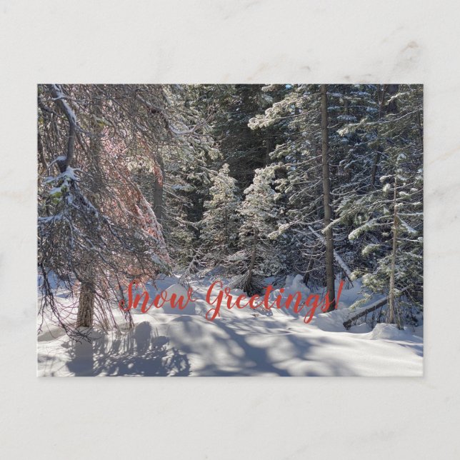 Snö Hälsning från Tahoe City! Vykort (Framsida)