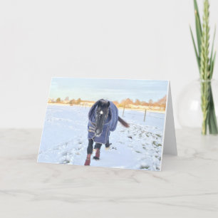 Snö häst gratulationskort helgkort