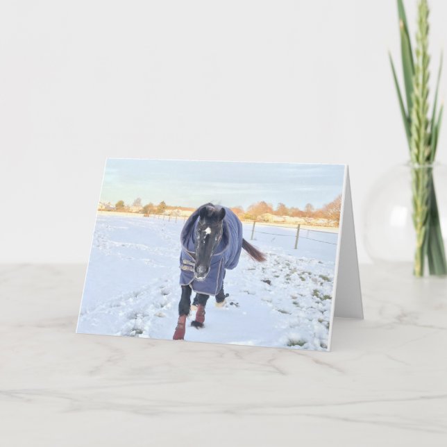 Snö-häst hälsning-kort helgkort (Framsida)