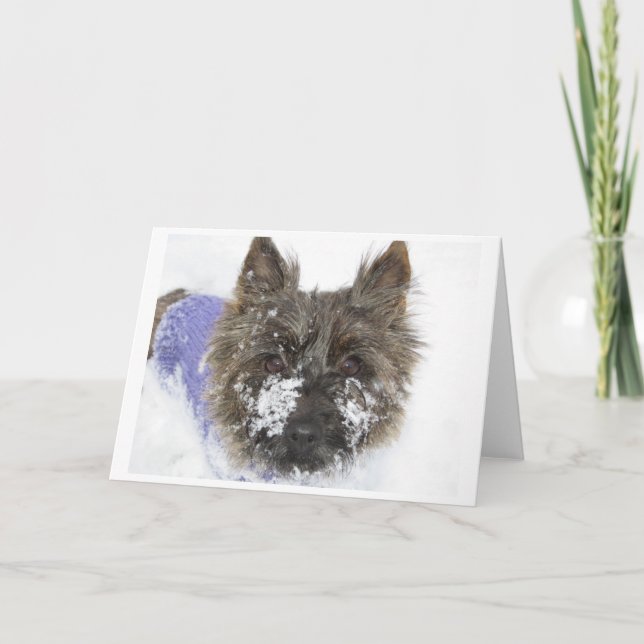 Snö! Helgkort (Framsida)