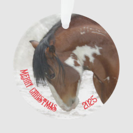 Snö Horse jul Akrylic