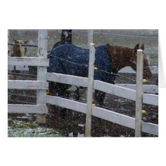 Snö Horses Hälsningskort