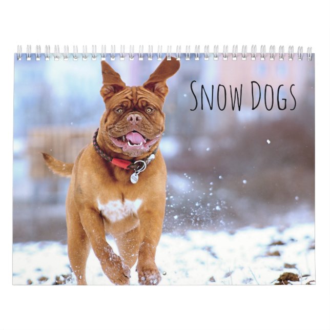 Snö Hundar Kalender (Omslag)