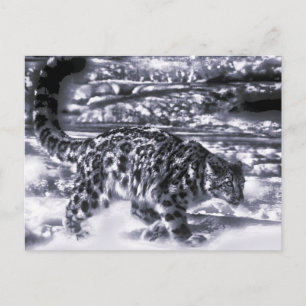 Snö Hunter 3 Vykort