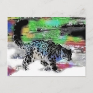 Snö Hunter 5 Vykort