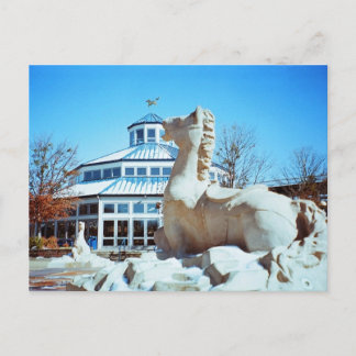 Snö i Coolidge Vykort