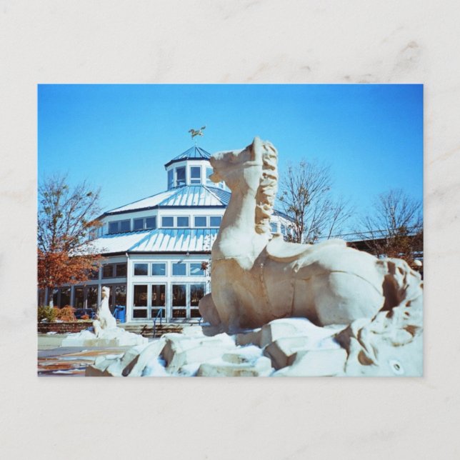 Snö i Coolidge Vykort (Framsida)