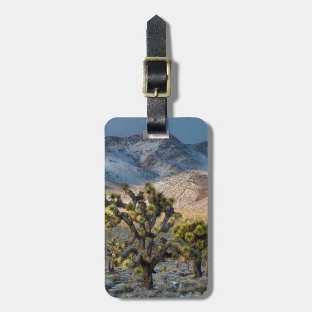 Snö i Death Valley Bagagebricka (Vertikal Framsida)