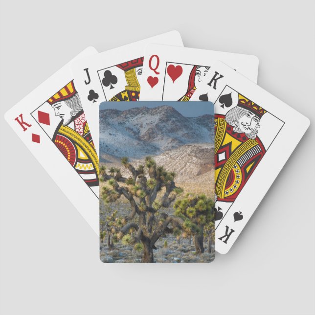 Snö i Death Valley Casinokort (Baksidan)