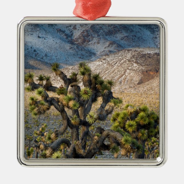 Snö i Death Valley Julgransprydnad Metall (Framsidan)