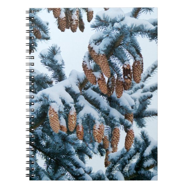 Snö i den bärbara datorn Gräs Anteckningsbok Med Spiral (Framsidan)