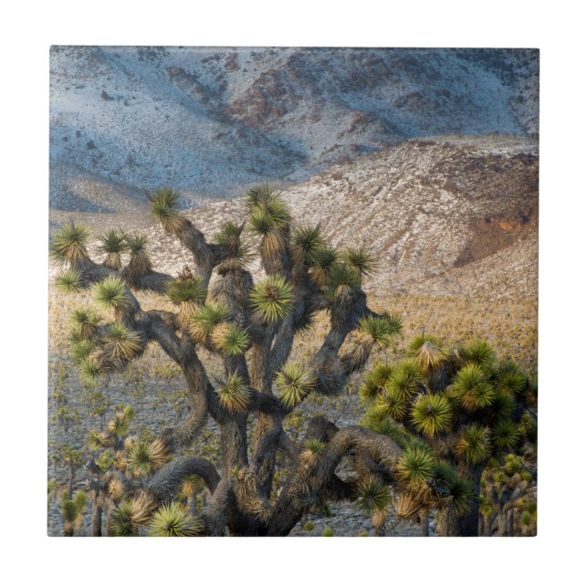 Snö i dödsdalen kakelplatta (Framsidan)