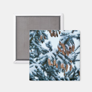 Snö i Gräs Magnet