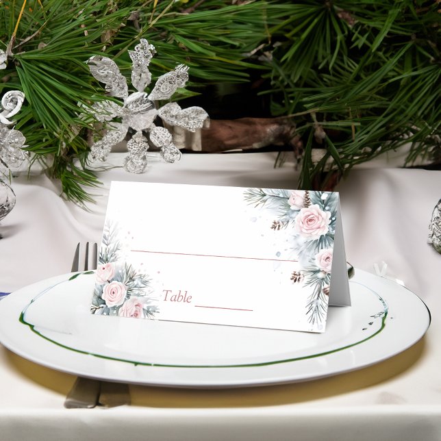 Snö i kärlek vinter bröllopsdusch fest placeringskort (Snow in love winter bridal shower party place cards personalized coordinated table decor)