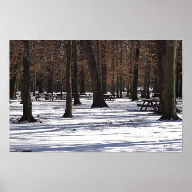 Snö i parken Poster (Framsidan)