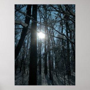 SNÖ i SKOGEN Poster