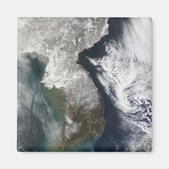 Snö i Sydkorea Magnet (Framsidan)