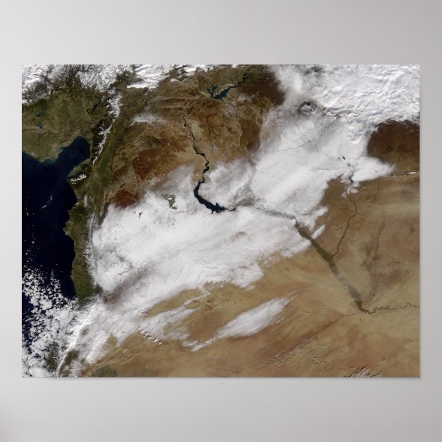 Snö i Syrien Poster (Framsidan)