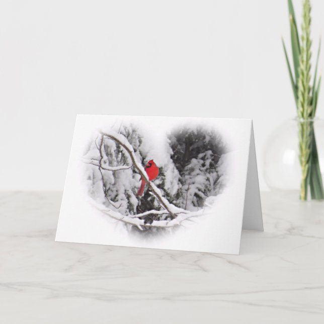 Snö Kardinal Heart Kort (Framsida)