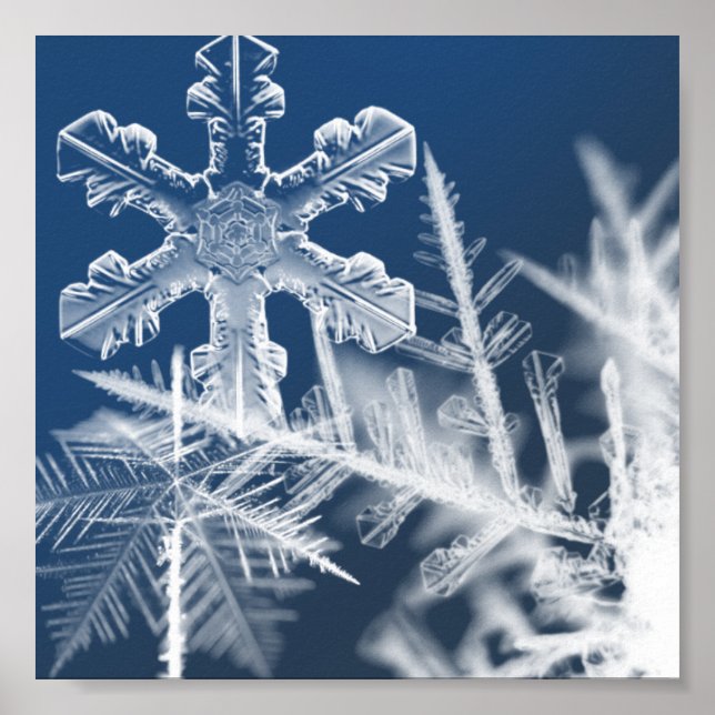 snö kristaller poster (Framsidan)