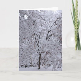 Snö-Laden Träd Kort