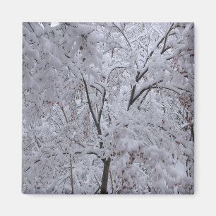 Snö-Laden Träd Magnet