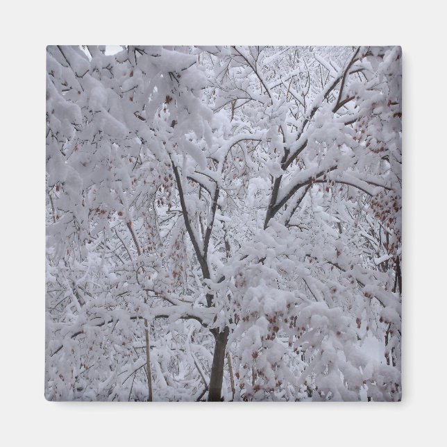 Snö-Laden Träd Magnet (Framsidan)