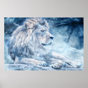 Snö Lejon Poster