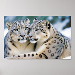 Snö Leopard Animal Natature Wildlife Affection Car Poster