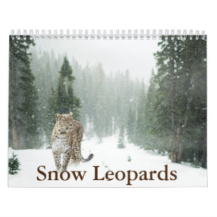 Snö Leopard Calendar Kalender