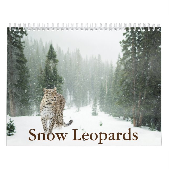 Snö Leopard Calendar Kalender (Omslag)